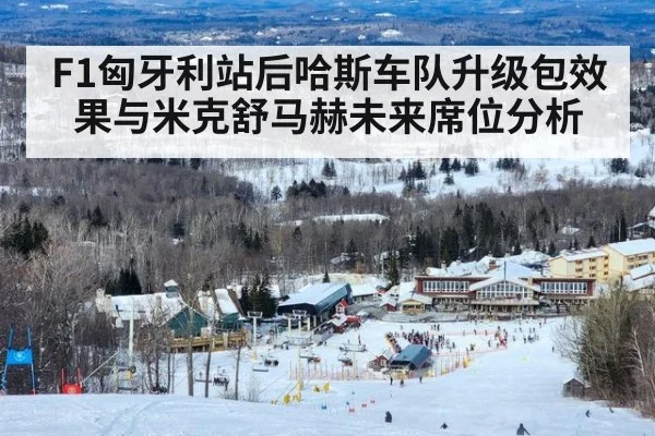 F1匈牙利站后哈斯车队升级包效果与米克舒马赫未来席位分析